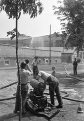 1947, Petrók Károly, Fortepan #312384