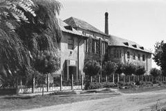 1949, Petrók Károly, Fortepan #312387