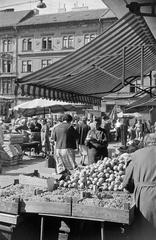 1962, Petrók Károly, Fortepan #312400