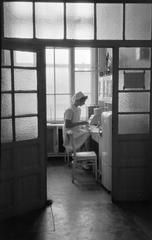 1958, Petrók Károly, Fortepan #312406