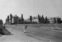 1958, Petrók Károly, Fortepan #312410