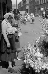 1958, Petrók Károly, Fortepan #312411