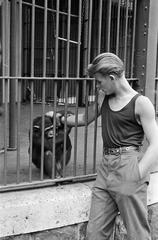 1958, Petrók Károly, Fortepan #312417