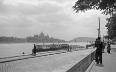 1958, Petrók Károly, Fortepan #312419