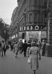 1960, Petrók Károly, Fortepan #312424