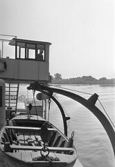 1960, Petrók Károly, Fortepan #312429