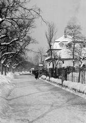 1959, Petrók Károly, Fortepan #312446