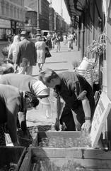 1959, Petrók Károly, Fortepan #312459