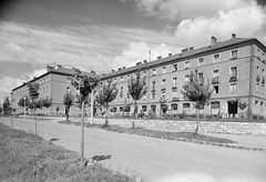 Magyarország, Komló, Zrínyi tér, középen a parkban Somogyi Árpád 1955-ben felállított Építőmunkás című szobra., 1958, Építésügyi Dokumentációs és Információs Központ, VÁTI, szobor, lakótelep, utcakép, szocreál, Fortepan #31252