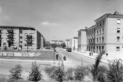 Magyarország, Komló, Petőfi tér, balra a Bányász szobra (id. Fekete Géza "Galántai",1952.). Szemben a Móricz Zsigmond utca a Pécsi út felől nézve., 1958, Építésügyi Dokumentációs és Információs Központ, VÁTI, szobor, park, lakótelep, utcakép, telefonfülke, szocreál, Fortepan #31253