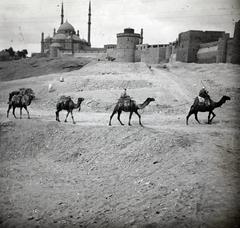 1910, fortepan/Album 123, Fortepan #312534