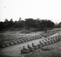1910, fortepan/Album 123, Fortepan #312537