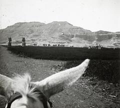 1910, fortepan/Album 123, Fortepan #312544