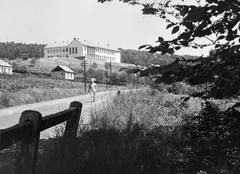 Magyarország, Komló, Gesztenyési út, középen balra fel a Liliom utca. A dombon a Gesztenyési Általános Iskola (később idősek otthona)., 1960, Építésügyi Dokumentációs és Információs Központ, VÁTI, Fortepan #31255