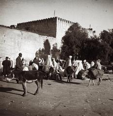 1910, fortepan/Album 123, Fortepan #312657