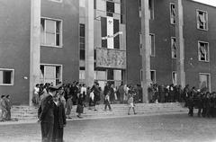 1960, Török András, Fortepan #312701