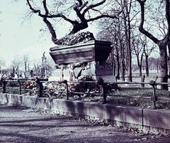 1957, Várallyay Katus, Fortepan #312727