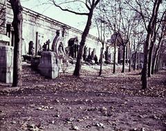 1957, Várallyay Katus, Fortepan #312728