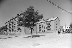 Magyarország, Várpalota, Gárdonyi Géza utca a Bazársornál., 1955, Építésügyi Dokumentációs és Információs Központ, VÁTI, utcakép, Fortepan #31275