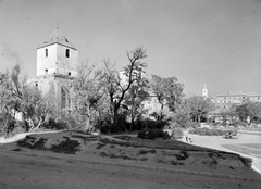 Magyarország, Várpalota, Thury-vár., 1955, Építésügyi Dokumentációs és Információs Központ, VÁTI, vár, Fortepan #31277