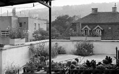 1983, Veres Júlia, Fortepan #312787