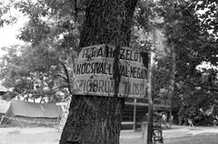 1981, Veres Júlia, Fortepan #312790