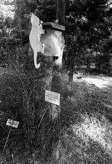 1981, Veres Júlia, Fortepan #312791