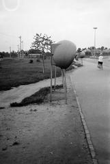 1977, Veres Júlia, Fortepan #312858