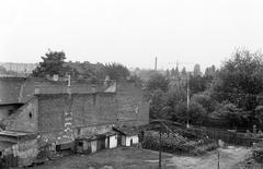 1977, Veres Júlia, Fortepan #312989