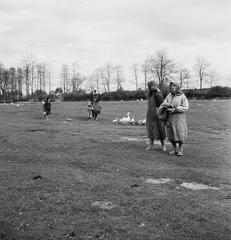 1935, Västernorrlands museum, Fortepan #313024