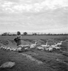 1935, Västernorrlands museum, Fortepan #313025
