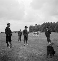 1935, Västernorrlands museum, Fortepan #313027