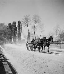 1935, Västernorrlands museum, Fortepan #313044