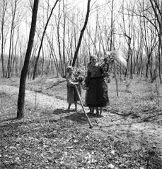 1935, Västernorrlands museum, Best of, Fortepan #313069