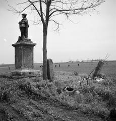 1935, Västernorrlands museum, Fortepan #313088