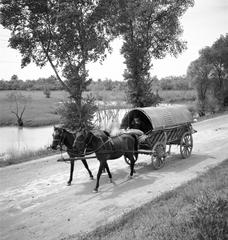 1935, Västernorrlands museum, Fortepan #313090
