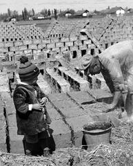 1935, Västernorrlands museum, Fortepan #313106