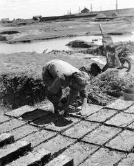 1935, Västernorrlands museum, Fortepan #313107