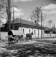 1935, Västernorrlands museum, Fortepan #313111