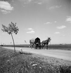 1935, Västernorrlands museum, Fortepan #313114