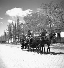 1935, Västernorrlands museum, Fortepan #313115