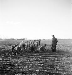 1935, Västernorrlands museum, Fortepan #313124