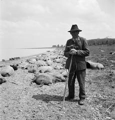 1935, Västernorrlands museum, Fortepan #313135