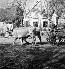 1935, Västernorrlands museum, Fortepan #313148