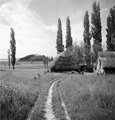 1935, Västernorrlands museum, Fortepan #313191