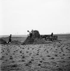 1935, Västernorrlands museum, Fortepan #313207
