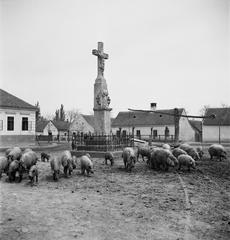 1935, Västernorrlands museum, Fortepan #313210