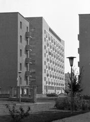 1968, Villányi Gergely, Fortepan #313228