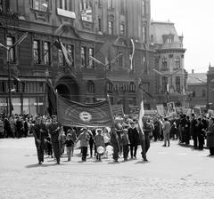 1964, Villányi Gergely, Fortepan #313245