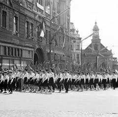 1964, Villányi Gergely, Fortepan #313247